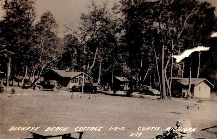 Curtis - Vintage Postcard